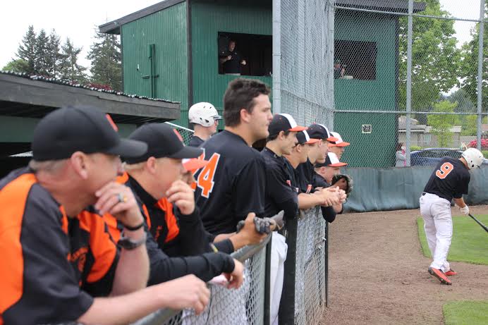 Tigers