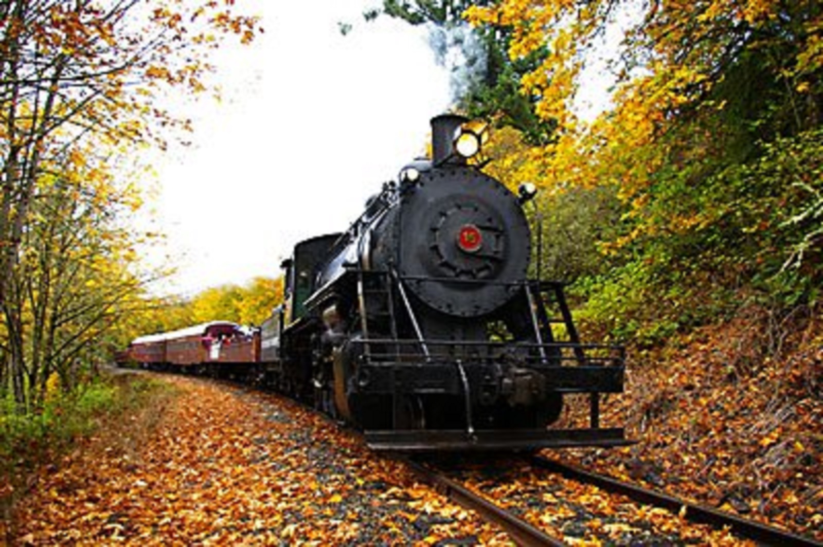 Take a Ride on Chehalis-Centralia Railroad and Museum’s Pumpkin Train - LewisTalkWA