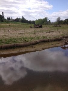 China Creek Centralia