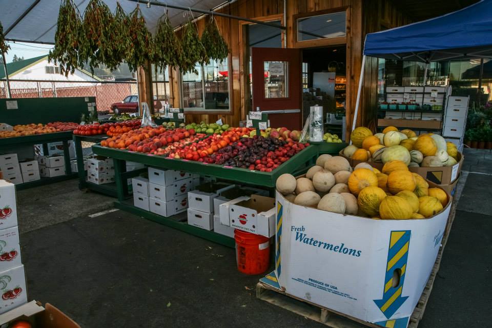 Jeremy's Farm to Table: A Culinary Journey from Farm to Fork