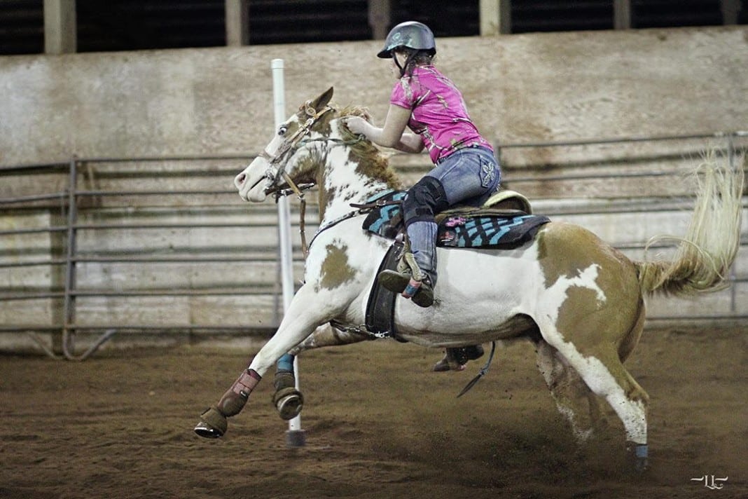 wf west equestrian