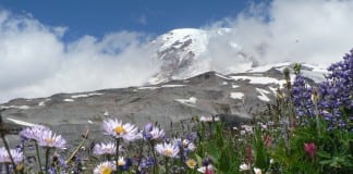 mount rainier lodging