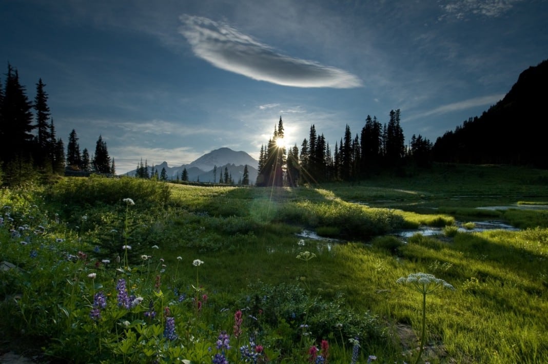 mount rainier lodging
