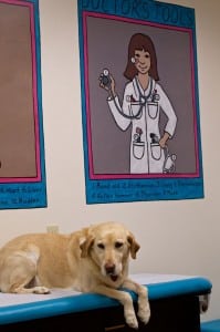 northwest pediatric center