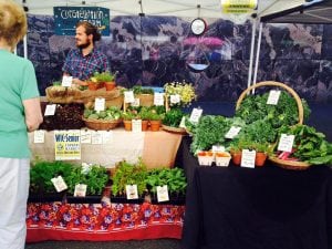 community farmers market