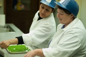national frozen foods