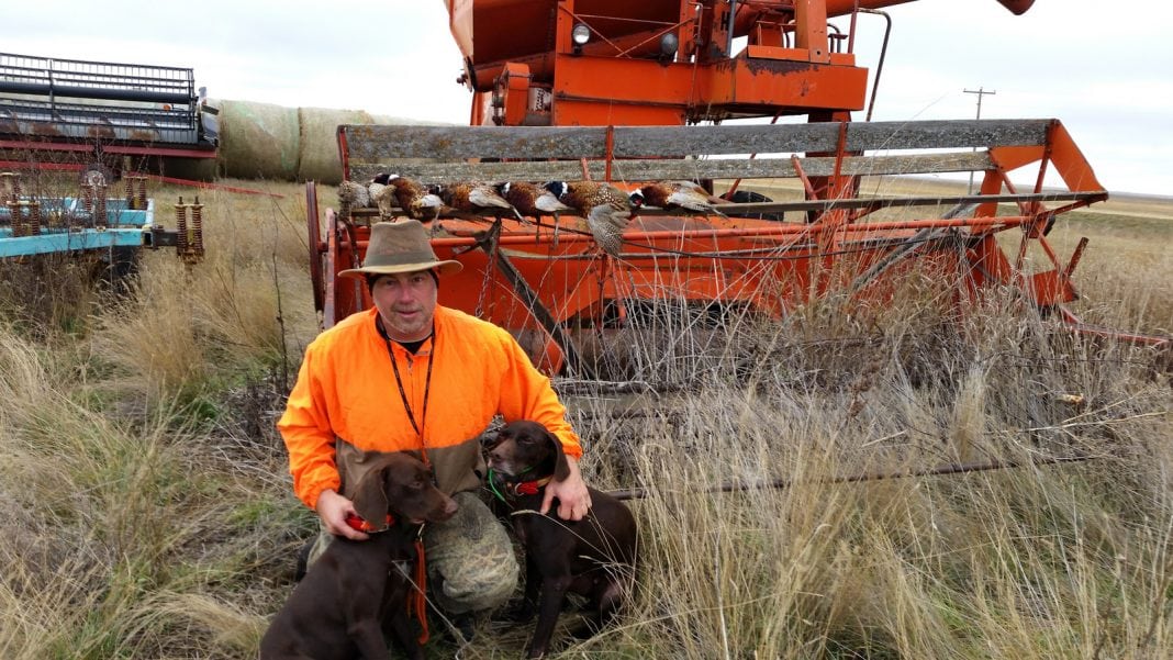 Dwayne with hunting dogs