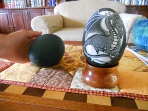 Emu eggs from 3 Feathers Emu Ranch