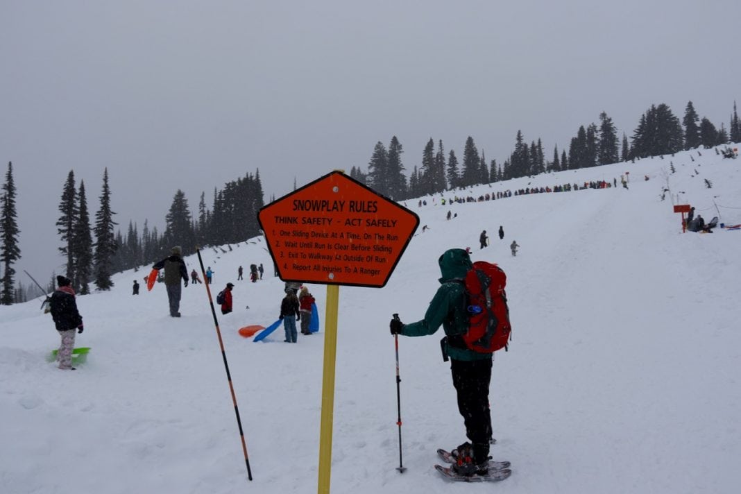 Mount Rainier Sledding