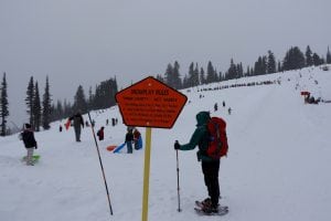 Mount Rainier Sledding