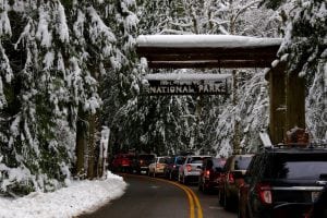 Mt Rainier National Park