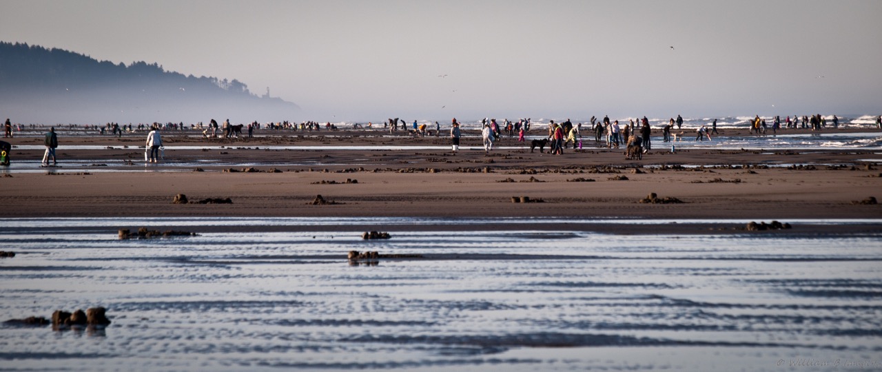 Gear: The Best Gear For Razor Clamming (Part 3) - The Perfect Tide