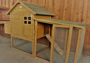 Chicken coop