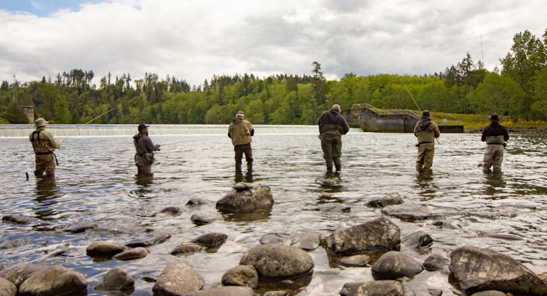 Cowlitz River