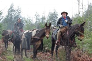 Lewis County Back Country Horsemen