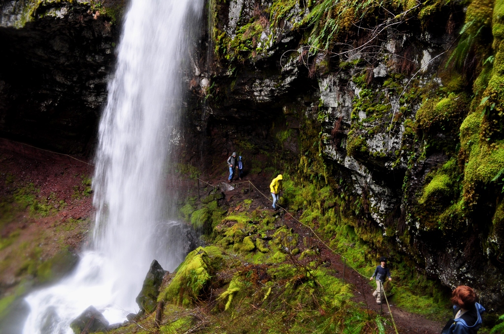 Rockhounding in Lewis County - The Treasure Beneath Your Feet