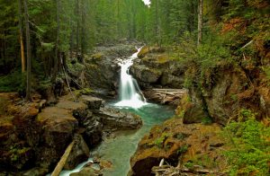 Camping in Packwood