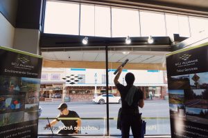 Calypso Window Washing