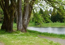 Borst Lake