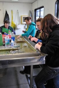 Cowlitz Salmon Hatchery