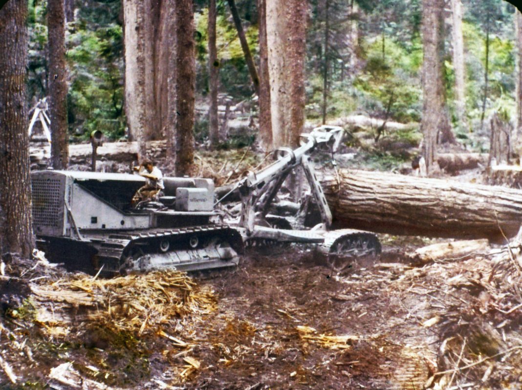 Morton Logging