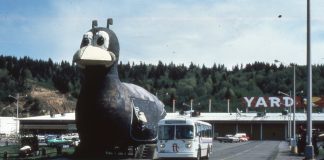 Twin Transit