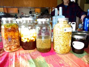 Medicine Making Day: Antibacterial, Aches and Pains. @ Sacred Spiral Sanctuary  | Ethel | Washington | United States