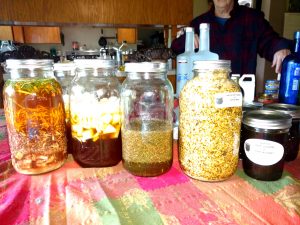 Medicine Making Day: Antibacterial, Aches and Pains. @ Sacred Spiral Sanctuary | Ethel | Washington | United States