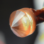 Lapidary Artisans in process