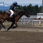 Rodeo Speed