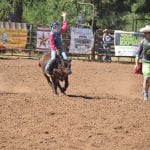 Rodeo events