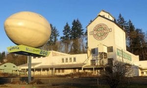 Celebrating 100 years of Egg Days @ Winlock