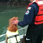 K9 Search and Rescue Expert Harry Oakes-Harry Oakes and SAR dog Elly