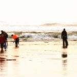 QBRC Razor Clam Festival-clam diggers on beach 3