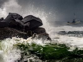 Storm Watch Grays Harbor Coast