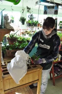 Pioneer West Garden and Pet Center