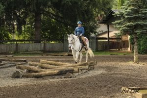 Bolender Horse Park Mountain Trail School Challenge @ Bolender Horse Park