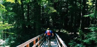 Packwood Trail Project