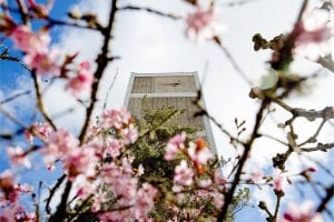 Evergreen State College
