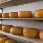 Tunawerth Cheese