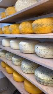 TUNaWERTH Creamery