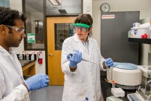 The Evergreen State College