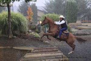 Checkers Breyer Horse