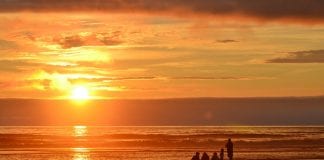 Grays Harbor Beaches