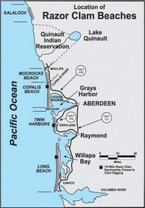 Grays Harbor Razor Clams