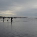 Clam-Digging-on-the-Washington-Coast-by-Mike-Murry
