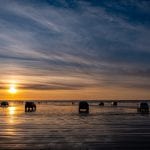 Clam-diggers-at-Copalis-Beach-by-Tom-Collins