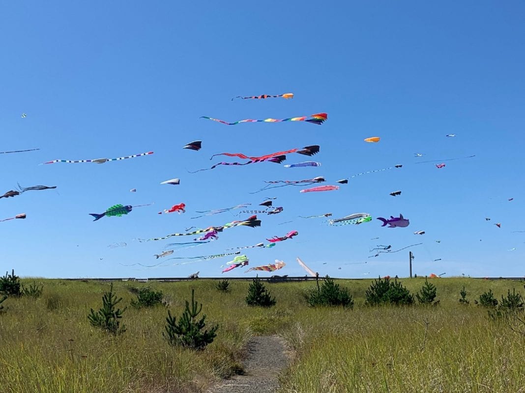 Grays Harbor kite