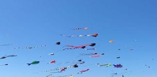 Grays Harbor kite