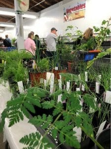 Master Gardeners